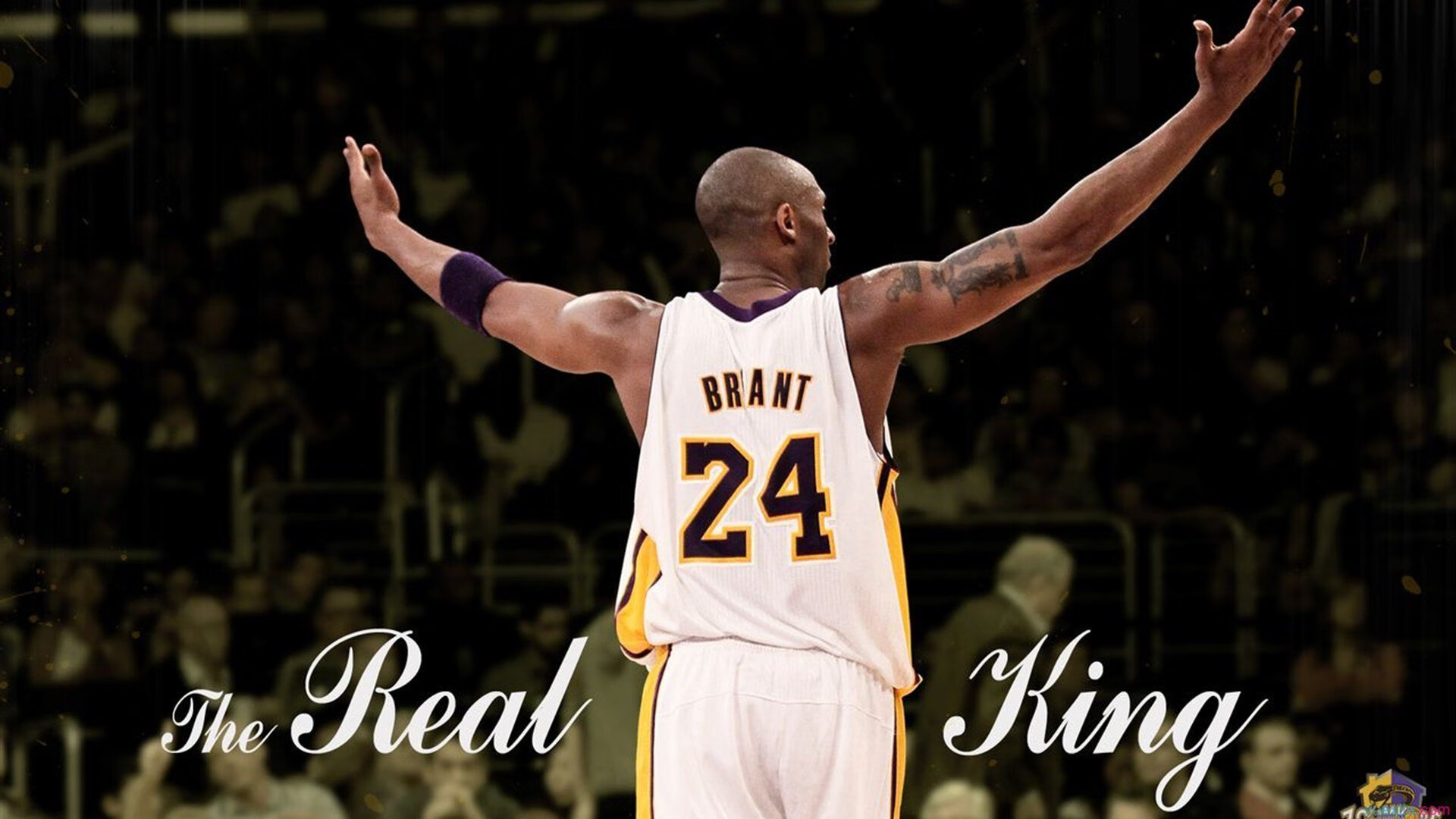 东方明珠下的逆袭，欧文在上海队与骑士之战中压力下的完美爆发